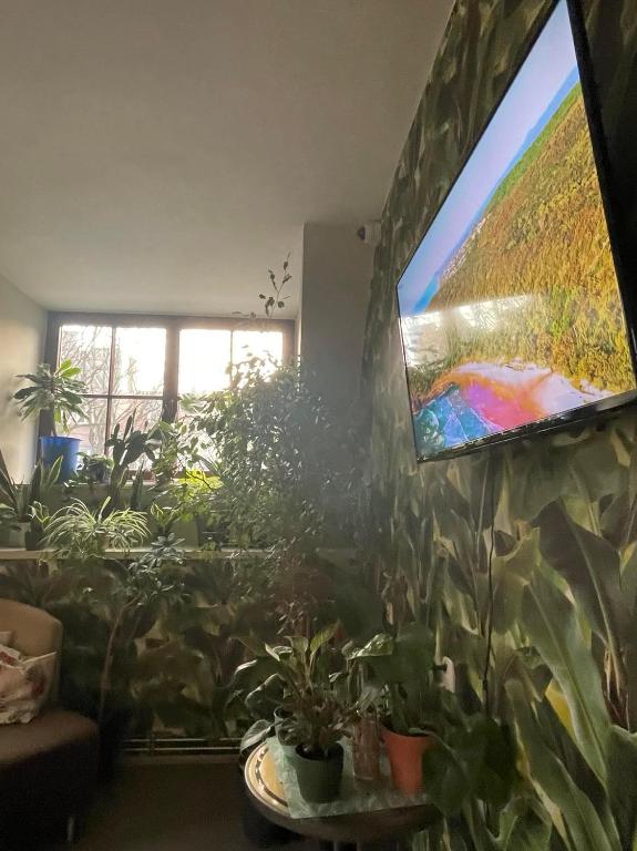 TV a/nebo společenská místnost v ubytování Hostel Universus