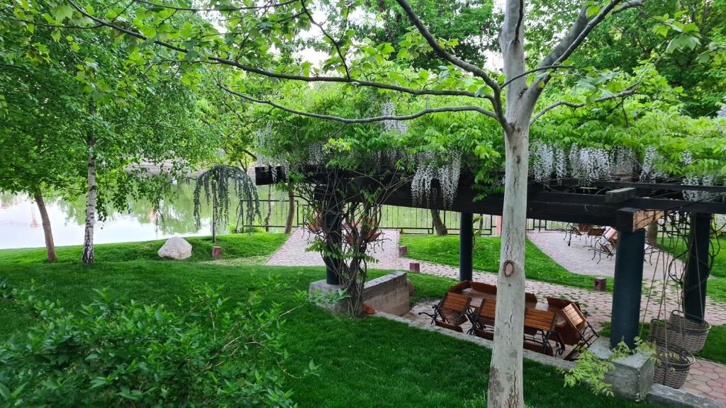 Caro Hotel - Resim 12