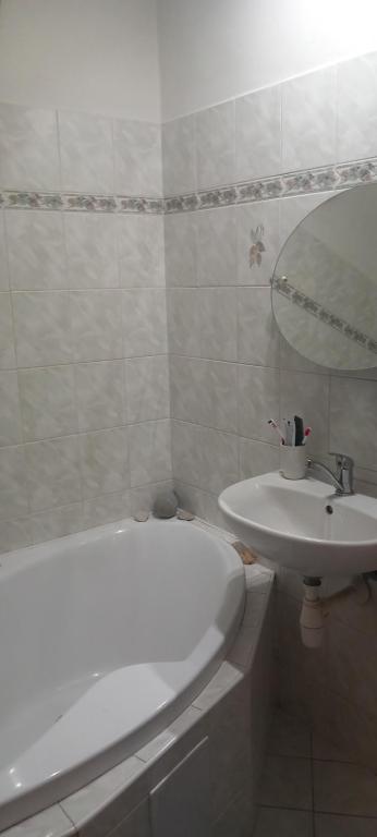 Vannituba majutusasutuses u Míši v Brdech