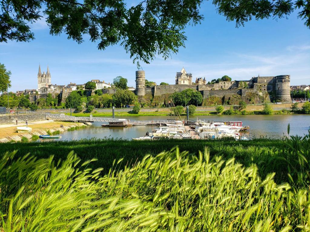 een uitzicht op een rivier met een kasteel op de achtergrond bij Le Chateau in Angers