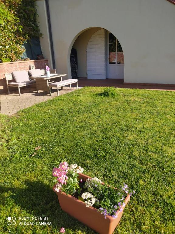 a pot of flowers sitting on the grass in a yard at Casa Claudia in Capannori