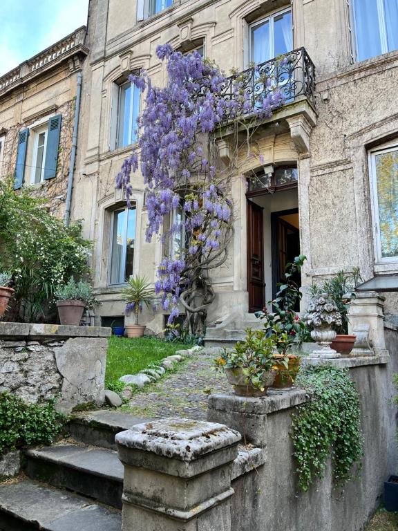 Vonkajšia záhrada v ubytovaní SalutBB Chambre d'hote