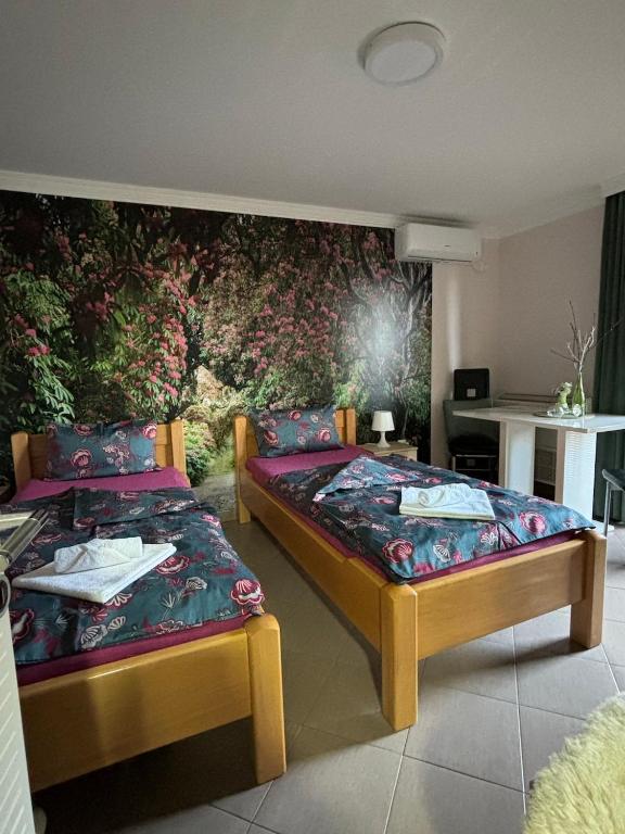 Postel nebo postele na pokoji v ubytování Apartmani "MARIJA" Golubac