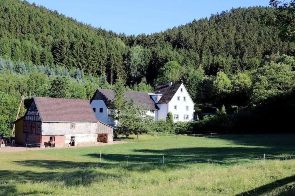 a house and a barn in the middle of a field at Ferienwohnung Hof-Waldwinkel I 