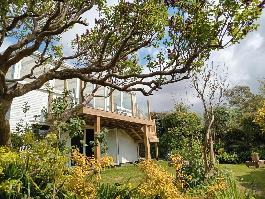 a house with a tree in the yard at Curlews Cottage - House with 3 bedrooms and garden - walking distance to the beach in Perranporth