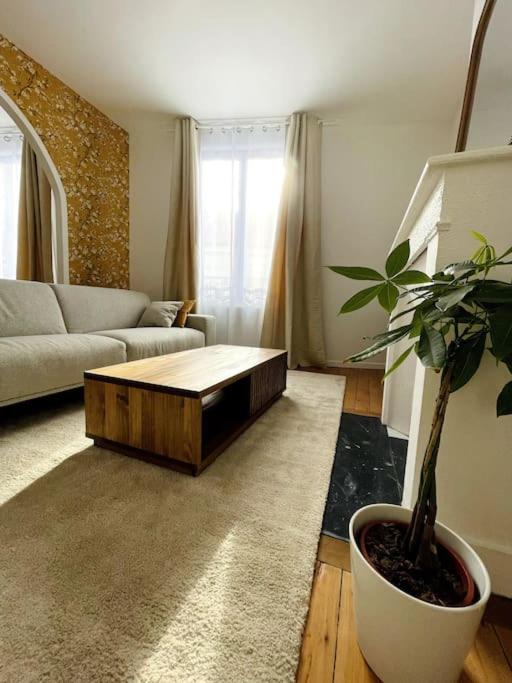 een woonkamer met een bank en een salontafel bij Cocon en centre-ville in Épernay