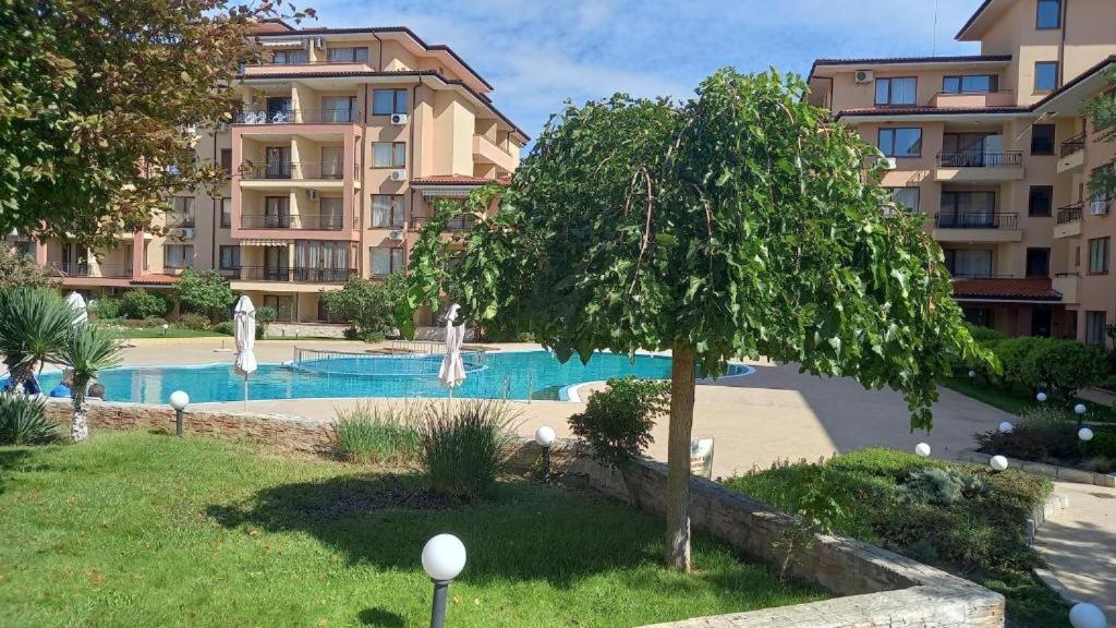 a swimming pool with a tree and a building at Magic Dreams Apartments in Sveti Vlas