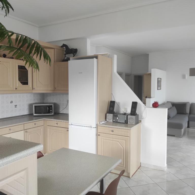 Kuchyň nebo kuchyňský kout v ubytování Sea Breeze Villa