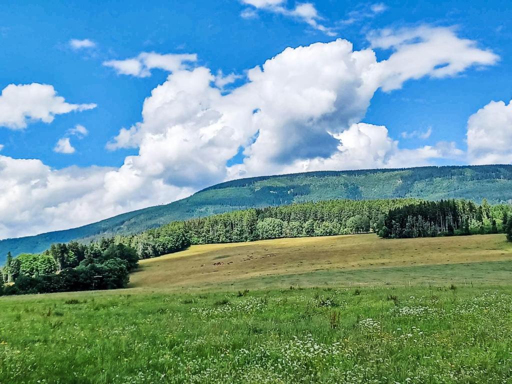 Příroda nedaleko apartmánu