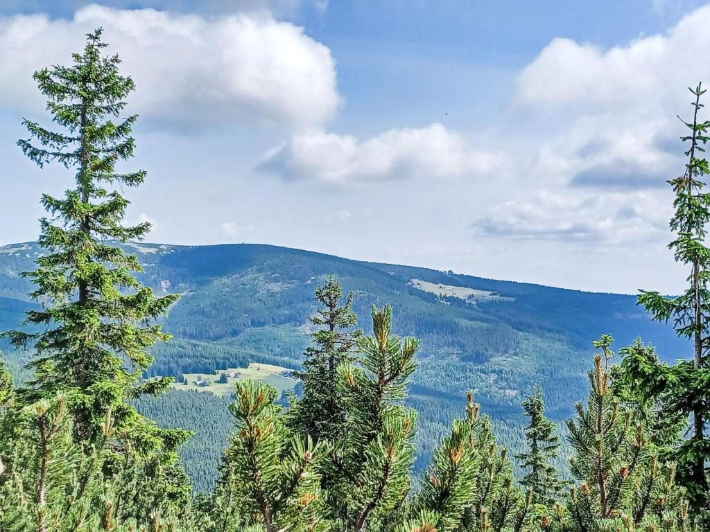 Příroda nedaleko apartmánu