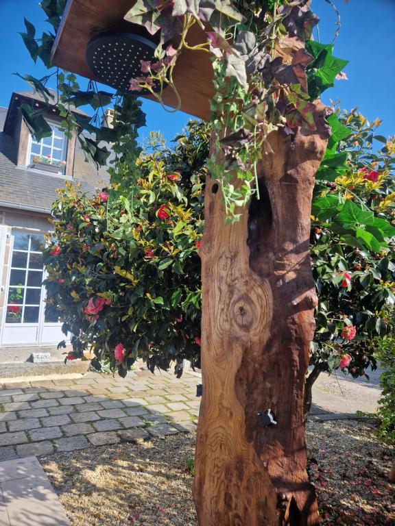 a tree stump with a planter on top of it at L&#39;Etang de la Gourdinière in Landisacq
