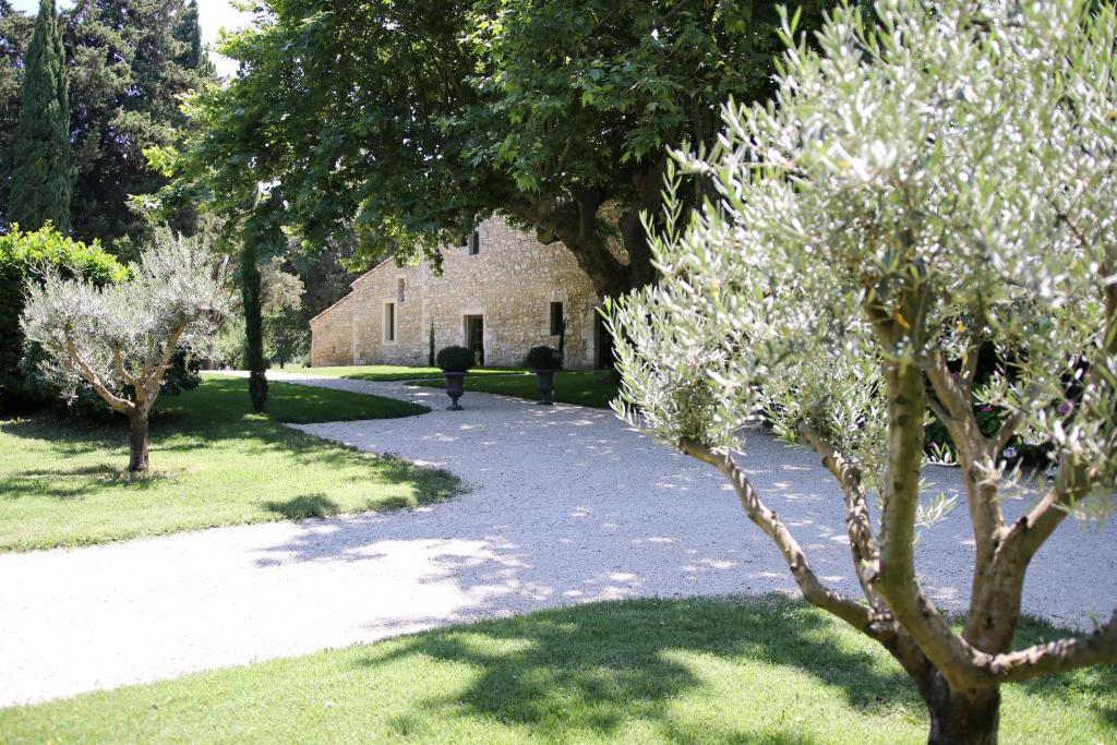アヴィニョンにあるMas Château Blancの白花の木