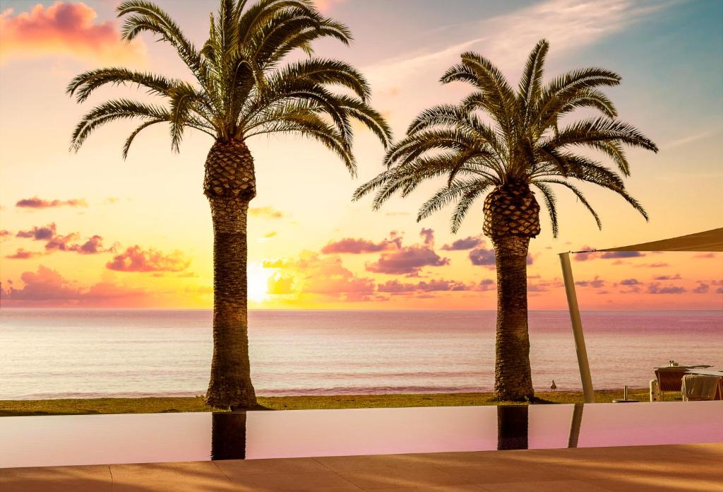 昂內維爾的住宿－梅爾比奇Spa酒店- 僅限成人，日落时分海滩上的两棵棕榈树