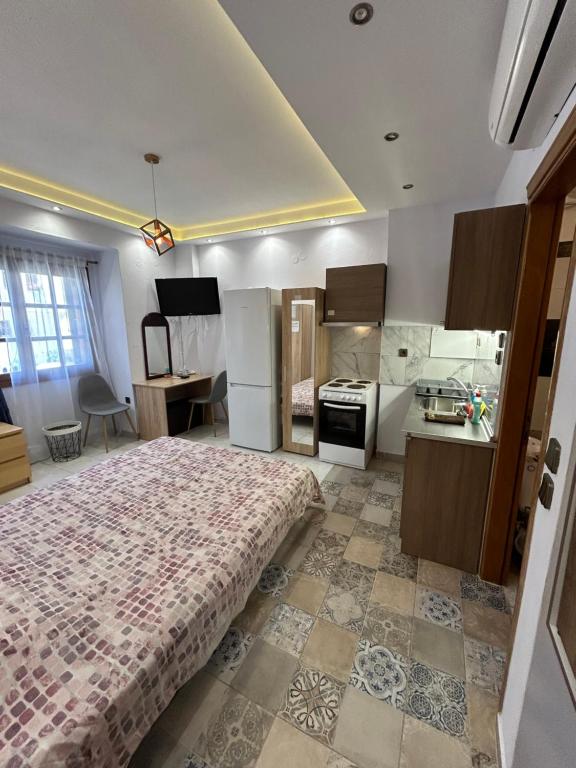 um quarto grande com uma cama e uma cozinha em Ano Poli Studios 1 em Tessalônica