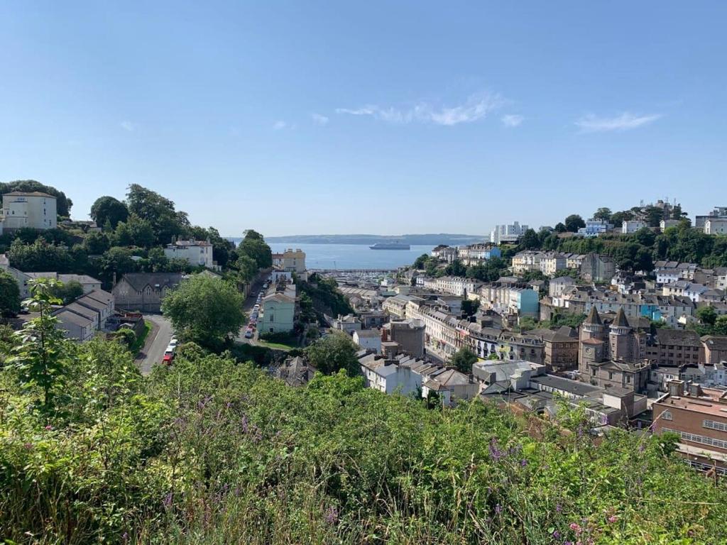 Blick auf eine Stadt von einem Hügel in der Unterkunft The Mariners' Beacon Torquay in Torquay