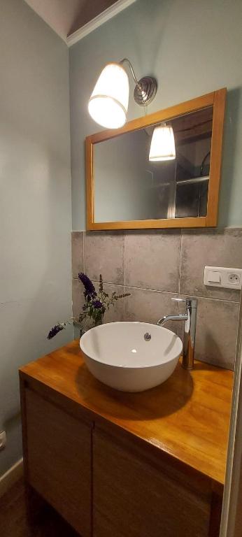 a bathroom with a white sink on a wooden counter at B&amp;B Bon Vivant in Brinay