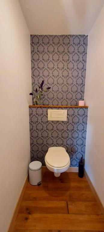 a bathroom with a toilet and a blue wall at B&amp;B Bon Vivant in Brinay