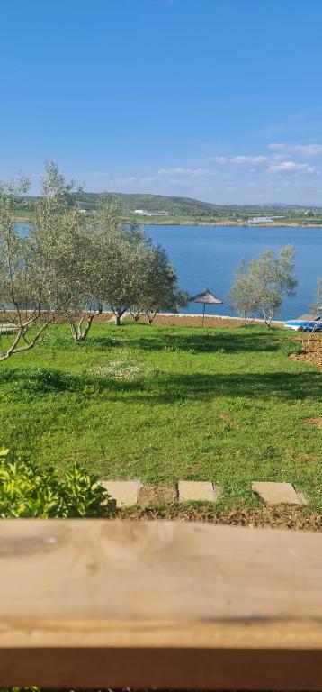 a field of grass with an umbrella and a body of water at Lake Mehoje Cottages - Liqeni Merhojes Shtepiza in Belsh
