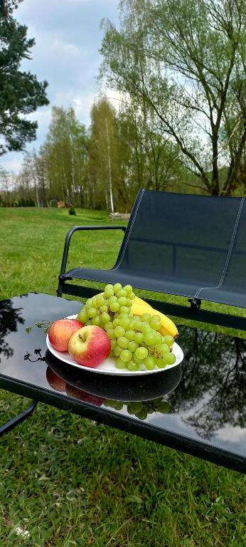 a plate of fruit on a table on a picnic table at Domek Karłowo u Eli in Sierakowice