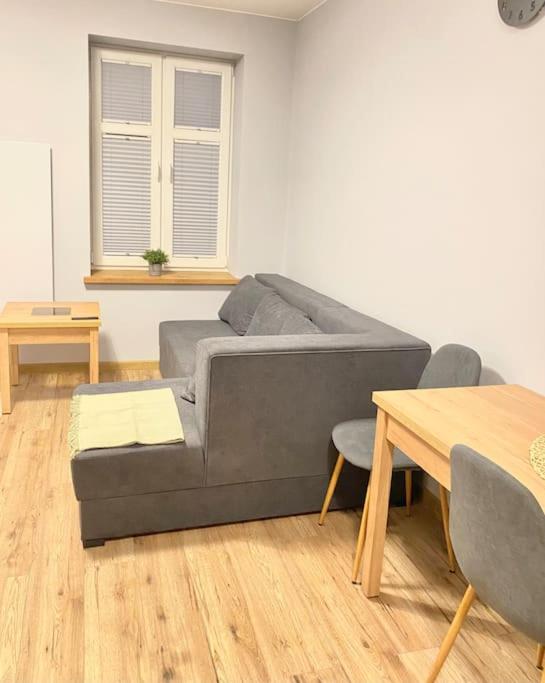 - un salon avec un canapé gris et une table dans l'établissement Atrakcyjny apartament rzg13, à Łódź