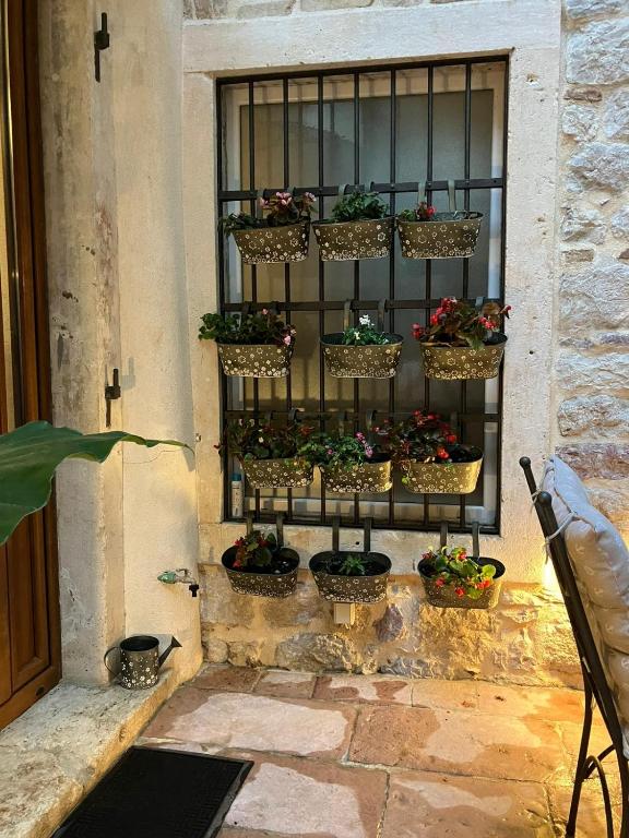 Apartments Kotor Old Town - 19