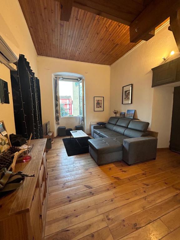 - un salon avec un canapé et du parquet dans l'établissement Appartement cosy Place Paoli, à Corte