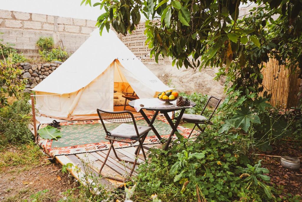 a tent with chairs and a table in a garden at Yurt in Avocado garden in Güimar