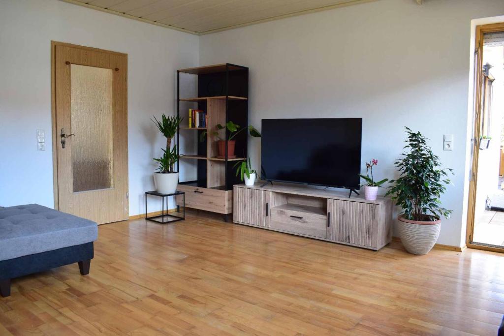 TV a/nebo společenská místnost v ubytování Bachoase Bischofsmais