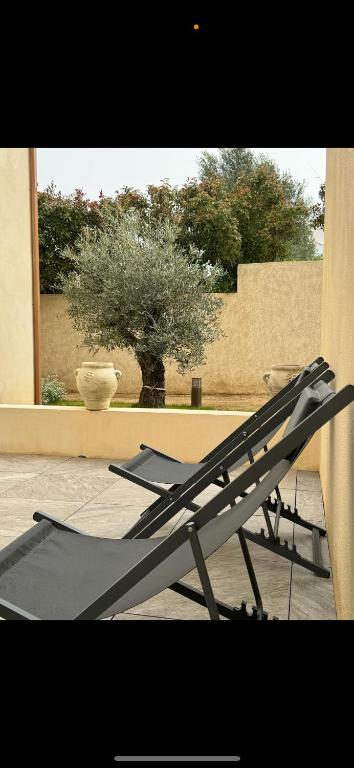 a bench in front of a window with a plant at Résidence CATALINA in Saint-Florent