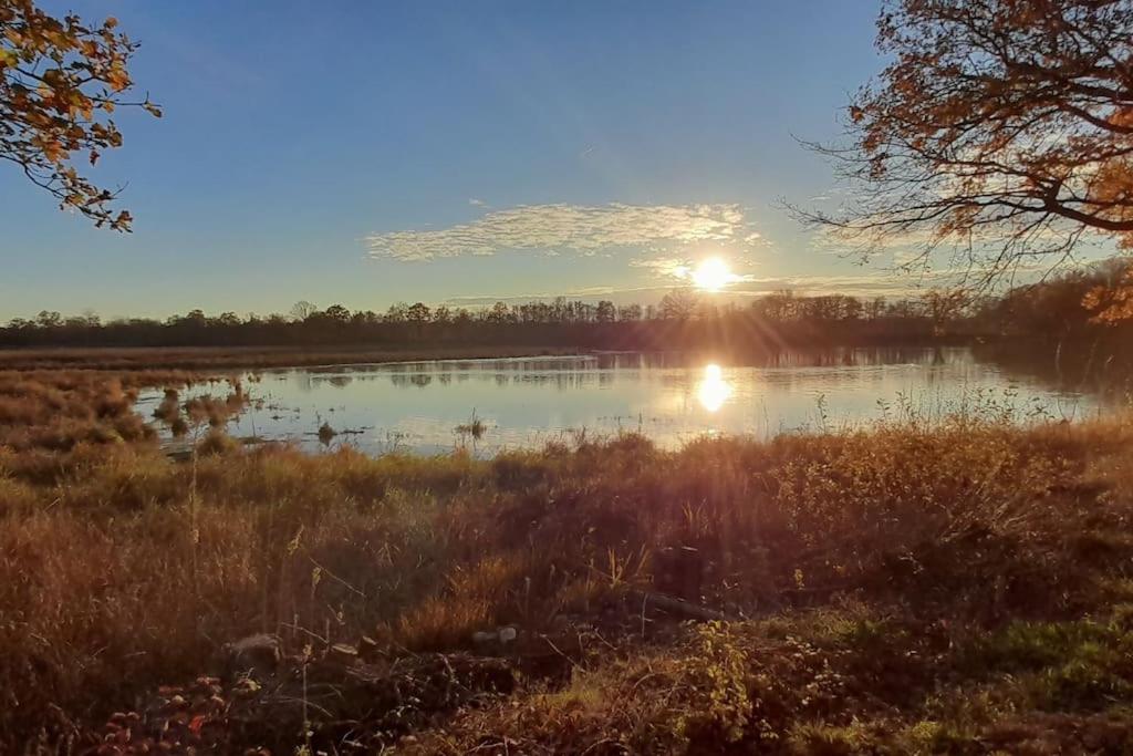 einen Sonnenaufgang über einem See mit Enten im Wasser in der Unterkunft Au coeur de La Dombes in Saint-Paul-de-Varax