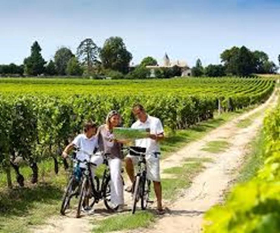Clients de l'établissement Meublé de tourisme classé 3 étoiles Le Ptit Coin de Soleil - Saint Ciers d'Abzac