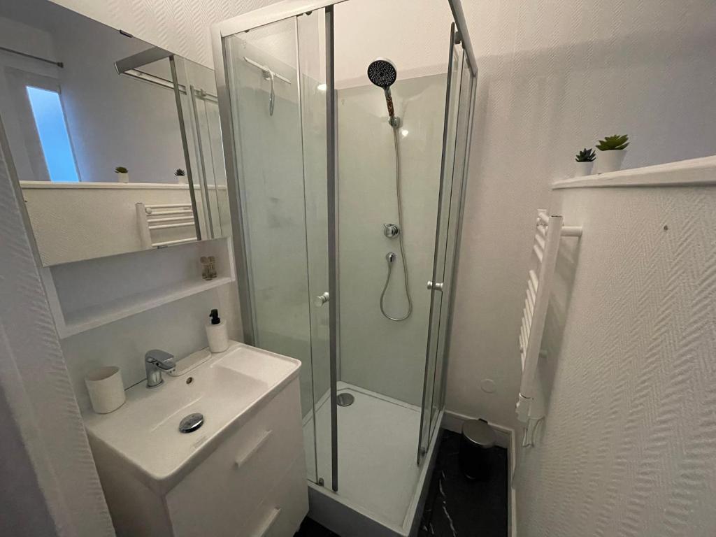 ein Bad mit einer Dusche und einem Waschbecken in der Unterkunft Respire Bordeaux in Bordeaux