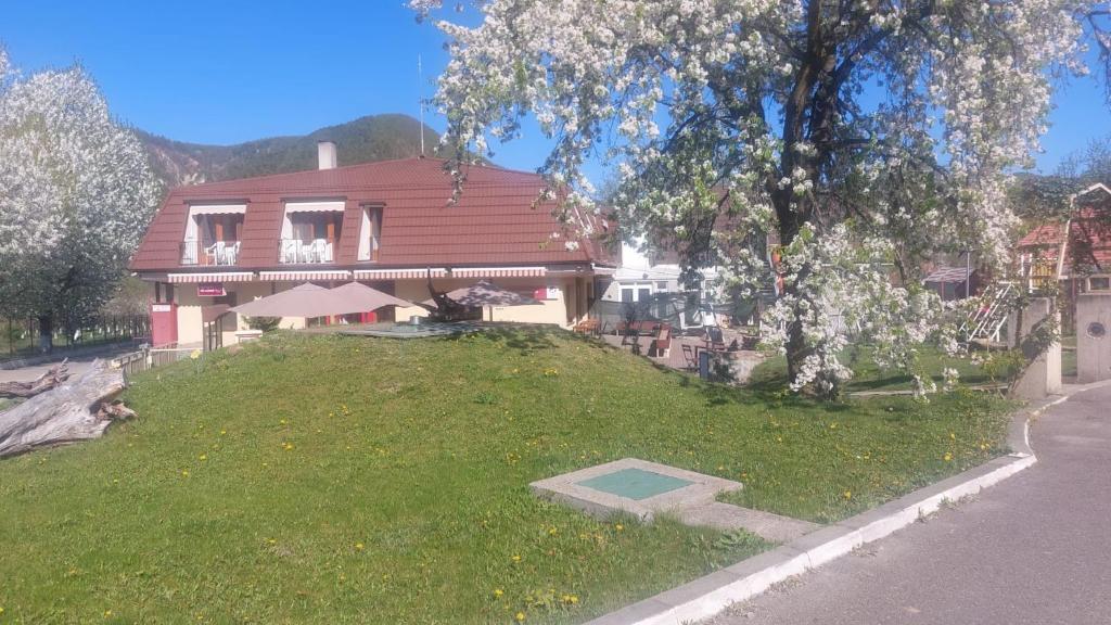 a house with a grassy yard in front of it at Pensiunea Valea Lupului in Valea Lupului