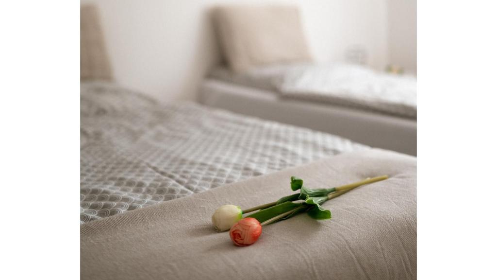 Postel nebo postele na pokoji v ubytování Apartment Alb Glück 1