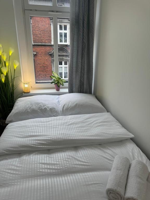 Mario Apartments #1 - 5