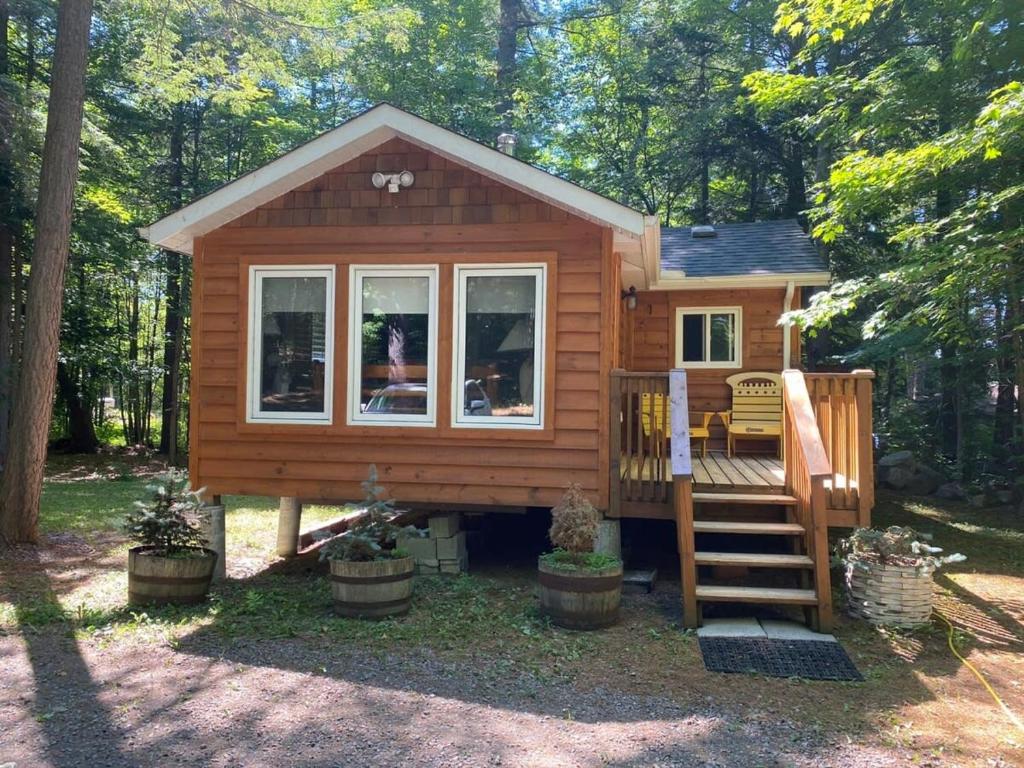 Cabaña pequeña en el bosque con escalera en Ada Lake Cottage - Port Carling couples retreat, en Port Carling