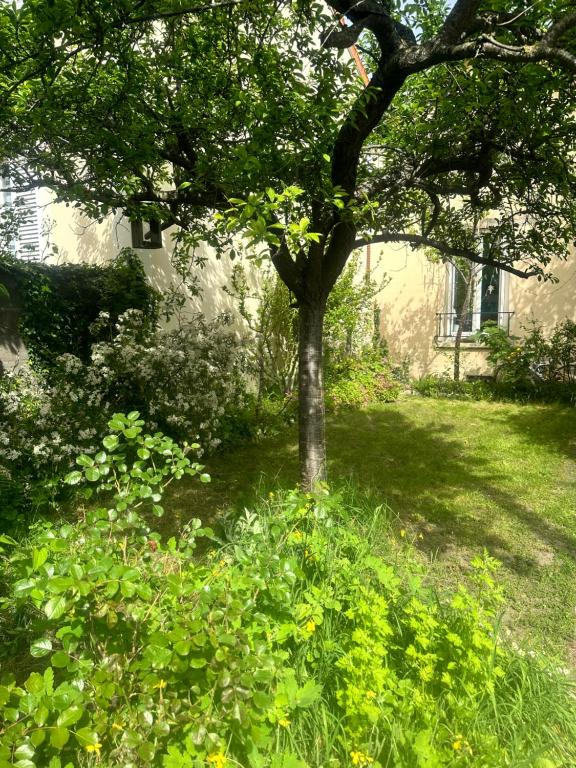a tree in the middle of a field of grass at Maison avec Jardin proche Porte Maillot in Colombes