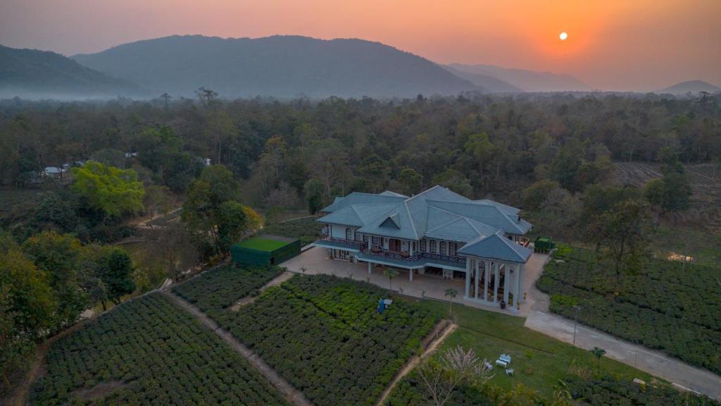 an aerial view of a house in a vineyard at Vaani Greens Wildlife Resort, Kaziranga in Kuthari