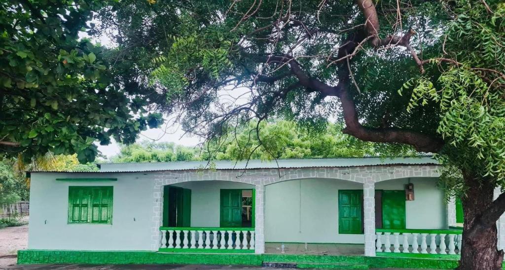 une maison blanche avec des fenêtres vertes et un arbre dans l'établissement Maison les pieds dans l'eau (Ramena), à Andjamen