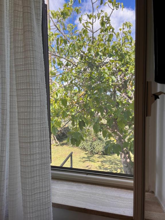 Poggio Baroni Agriturismo - One-Bedroom Apartment