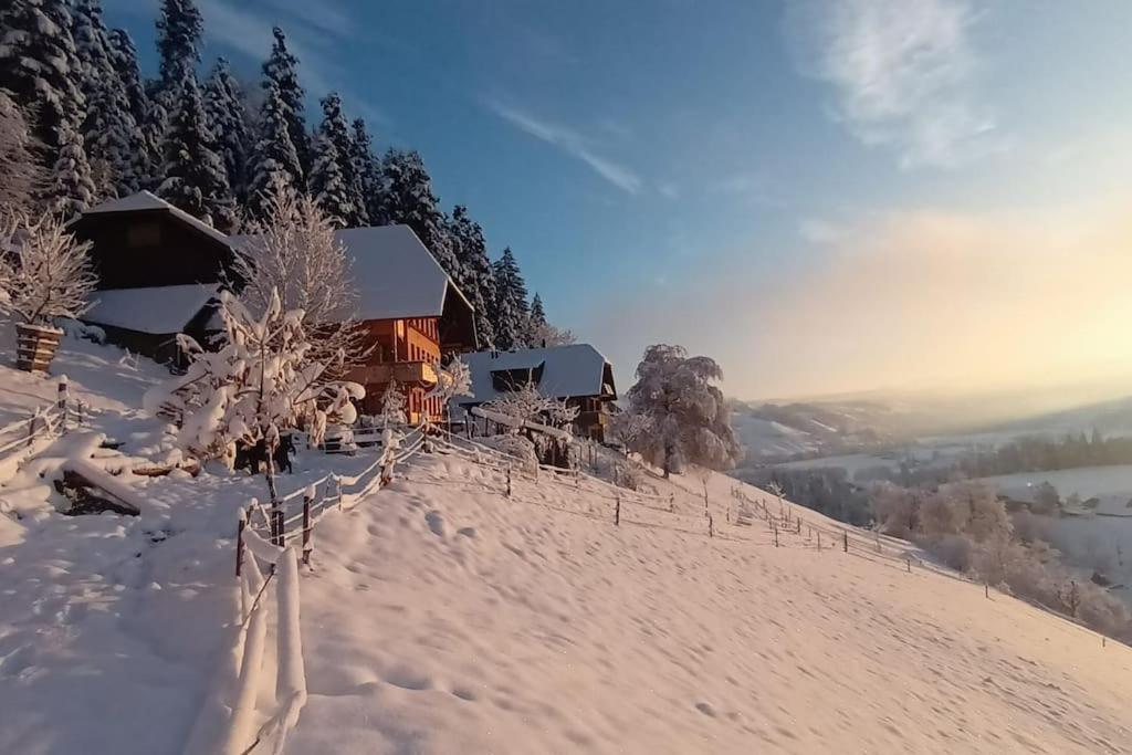 Ferienwohnung in Emmentaler Bauernhaus, Vogelsang om vinteren