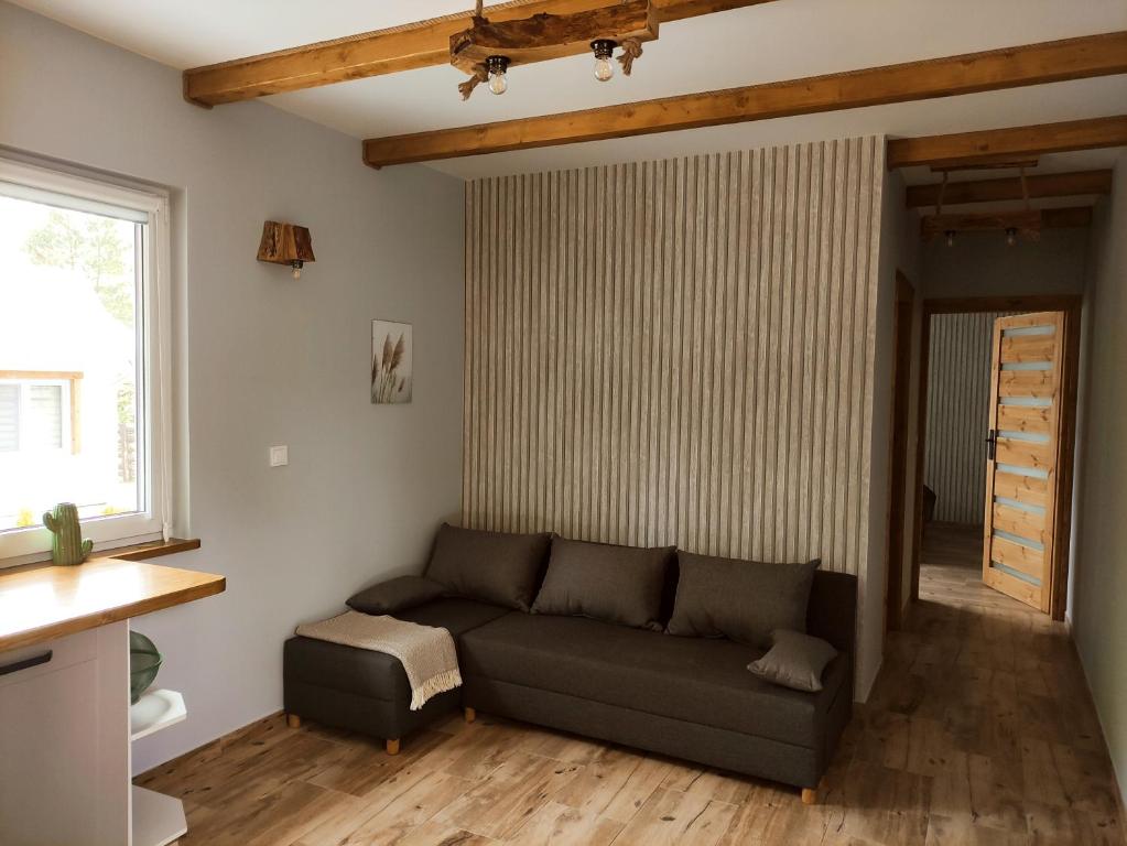 przy lesie في بياوفييجا: غرفة معيشة مع أريكة ونافذة