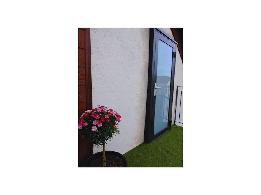 Appartement cosy proche centre – photo 25