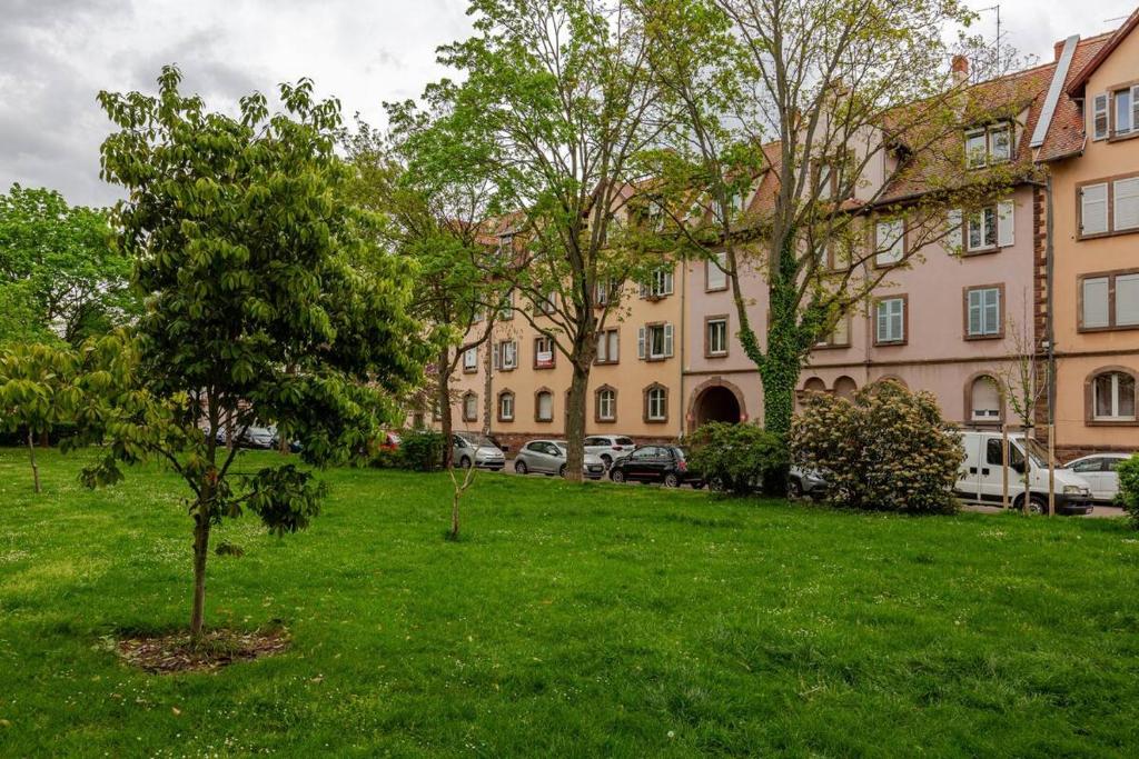 MAMRAY – photo 12
