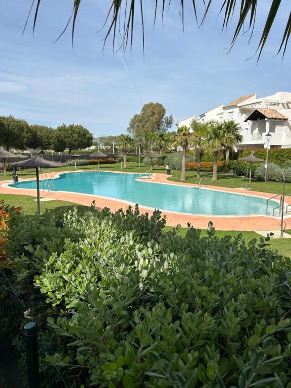une grande piscine dans un parc avec des buissons dans l'établissement LA CASA DE LOS PATOS Jardines del lago, à Costa de Sanlúcar