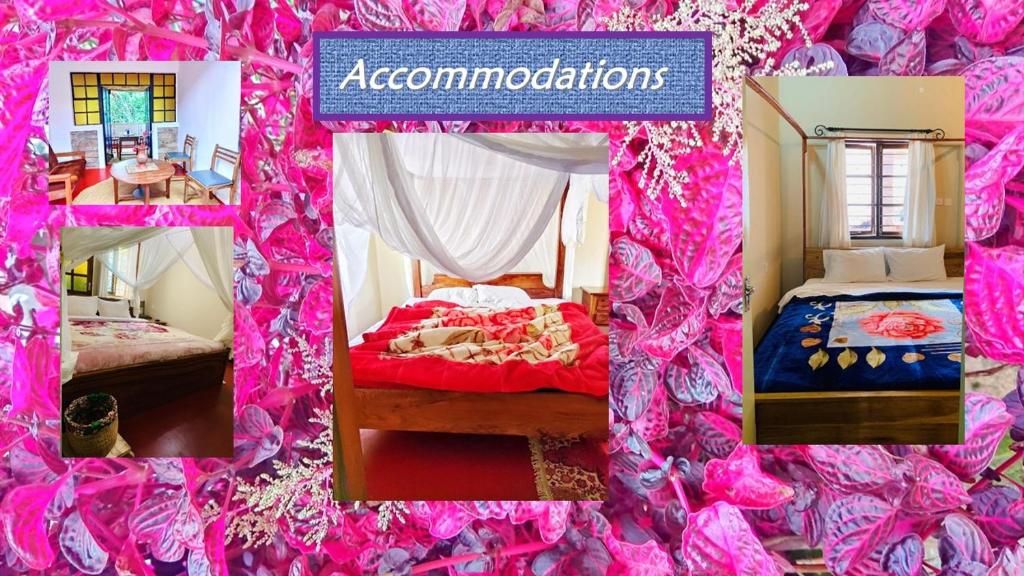 un collage de photos d'une chambre avec un lit dans l'établissement Mrefu Eco-lodge, à Marangu