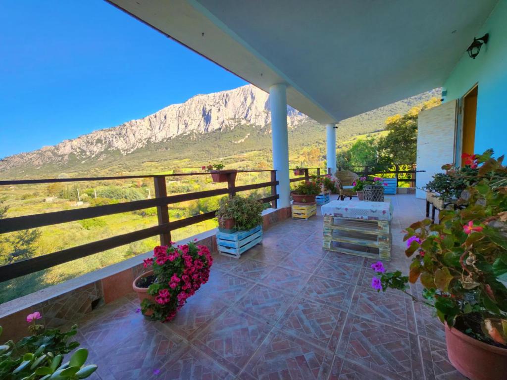 um alpendre com flores e vista para uma montanha em Panoramic House em Oliena