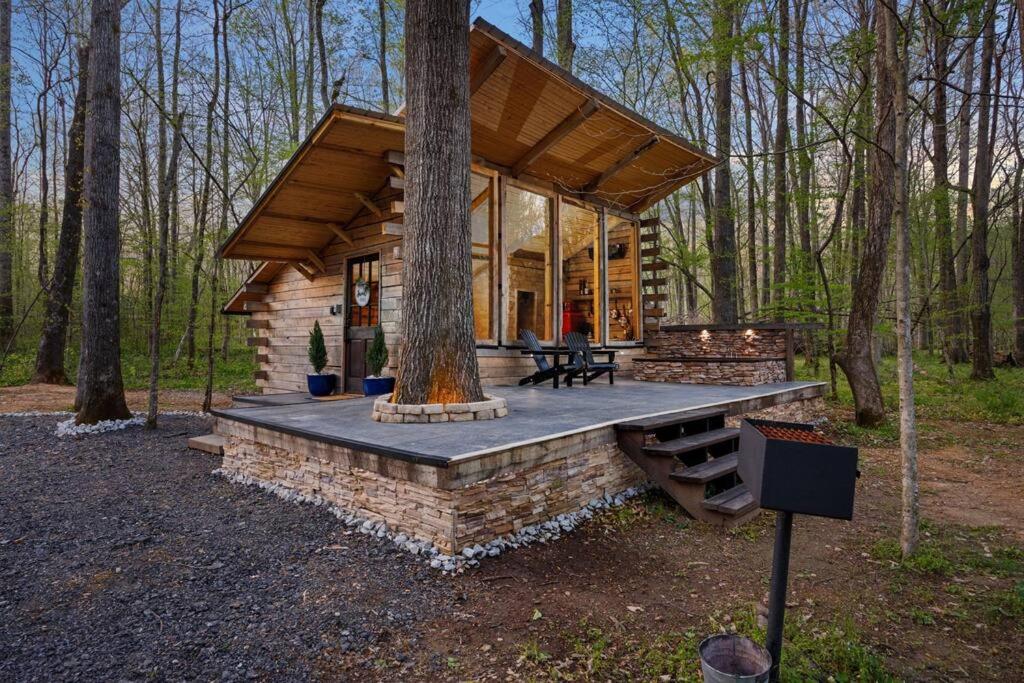 a log cabin in the woods with a tree at Creekside Cabin in Florence