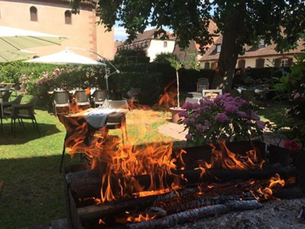 Zahrada ubytování Logis Hôtel-Restaurant du Herrenstein