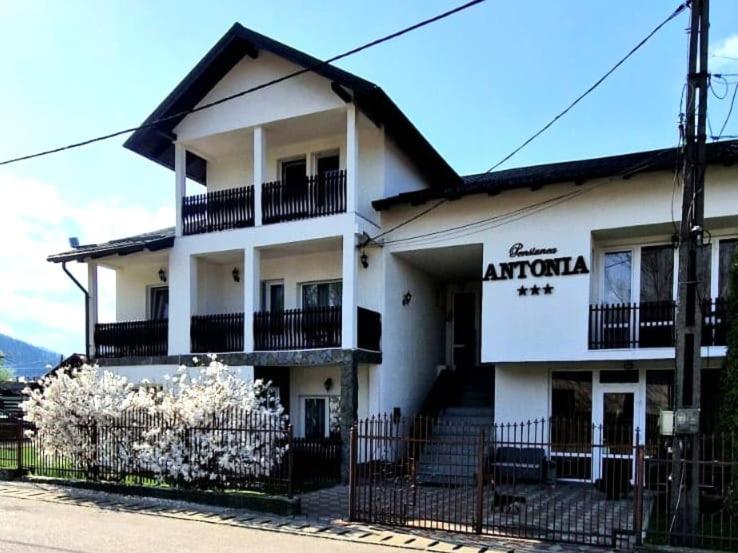 a white apartment building with a fence in front of it at Pensiunea Antonia in Vatra Dornei